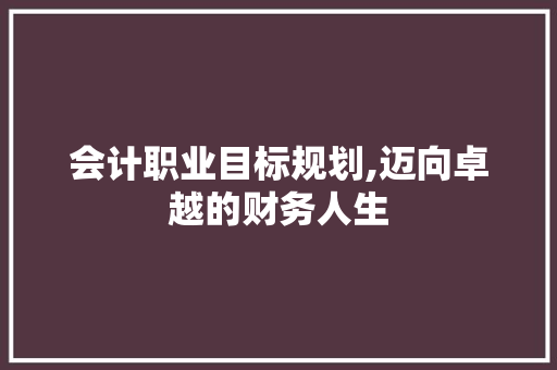 会计职业目标规划,迈向卓越的财务人生