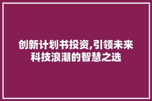 创新计划书投资,引领未来科技浪潮的智慧之选