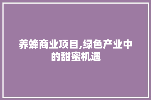 养蜂商业项目,绿色产业中的甜蜜机遇