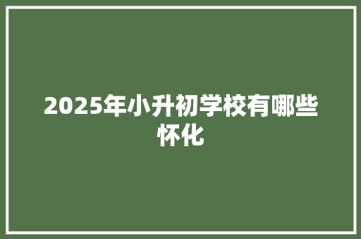 2025年小升初学校有哪些怀化
