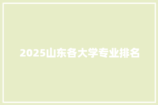 2025山东各大学专业排名