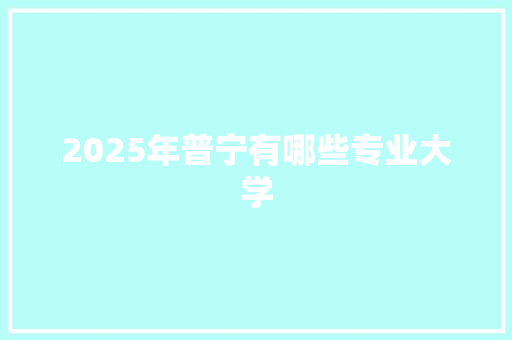 2025年普宁有哪些专业大学