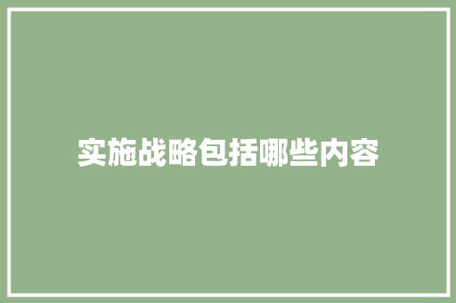 实施战略包括哪些内容