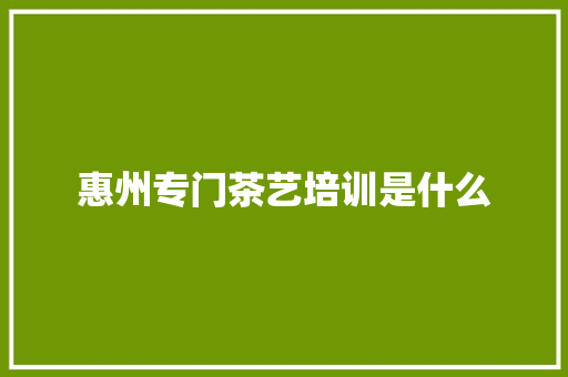 惠州专门茶艺培训是什么