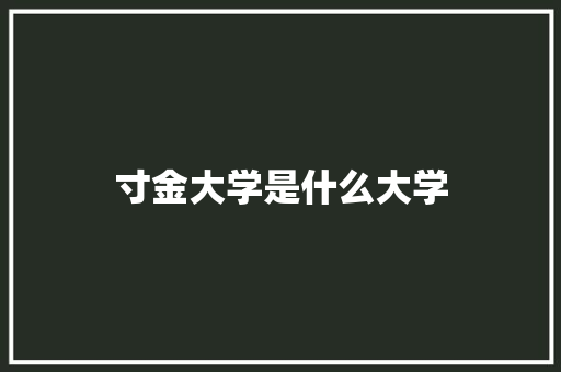 寸金大学是什么大学