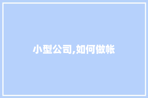 小型公司,如何做帐