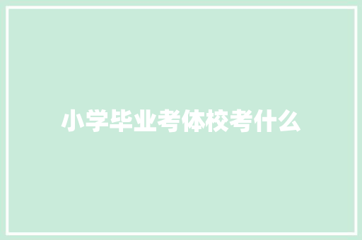 小学毕业考体校考什么