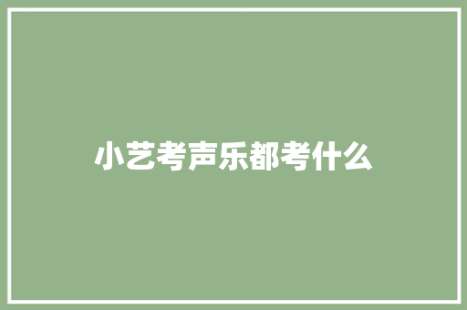 小艺考声乐都考什么