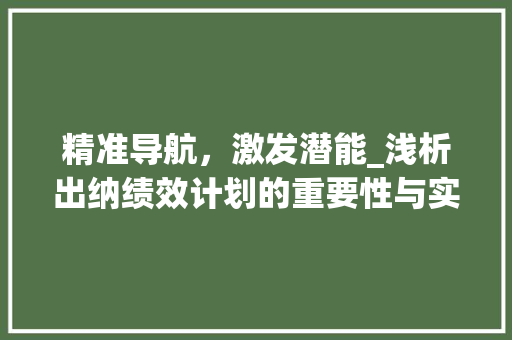 精准导航，激发潜能_浅析出纳绩效计划的重要性与实施步骤