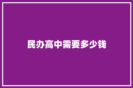 民办高中需要多少钱