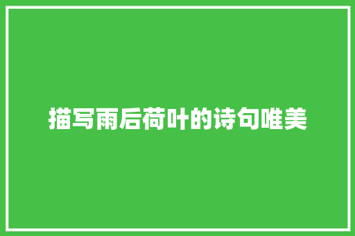 描写雨后荷叶的诗句唯美
