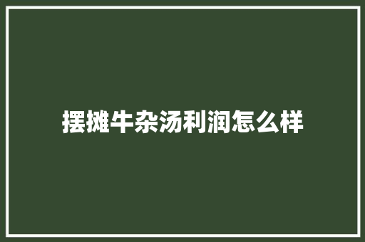摆摊牛杂汤利润怎么样