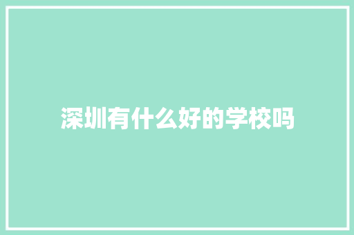 深圳有什么好的学校吗