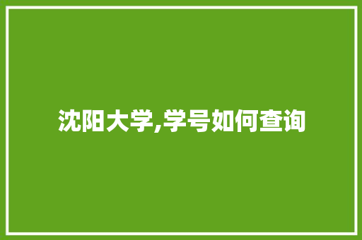 沈阳大学,学号如何查询