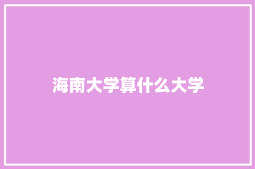 海南大学算什么大学