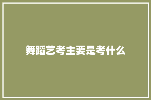 舞蹈艺考主要是考什么
