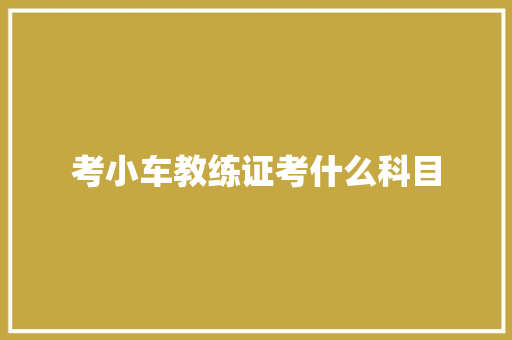 考小车教练证考什么科目