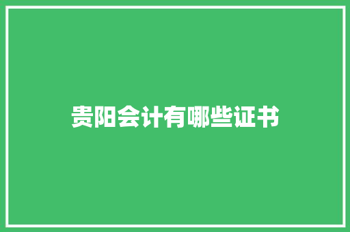 贵阳会计有哪些证书