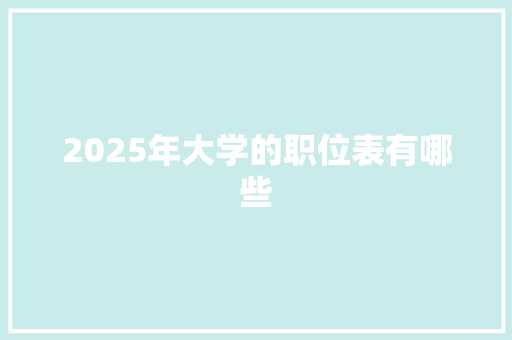 2025年大学的职位表有哪些