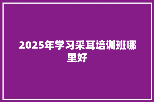 2025年学习采耳培训班哪里好