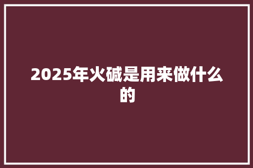 2025年火碱是用来做什么的