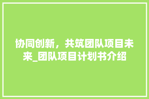 协同创新，共筑团队项目未来_团队项目计划书介绍