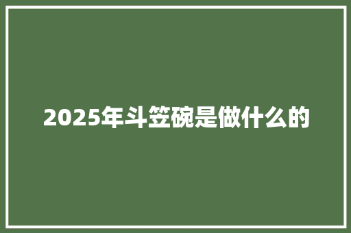 2025年斗笠碗是做什么的