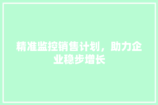 精准监控销售计划，助力企业稳步增长