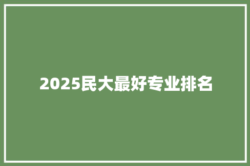 2025民大最好专业排名