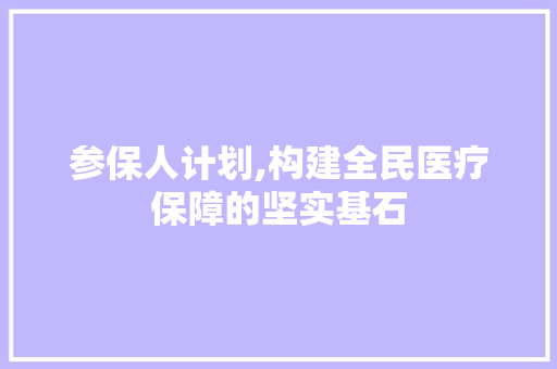 参保人计划,构建全民医疗保障的坚实基石