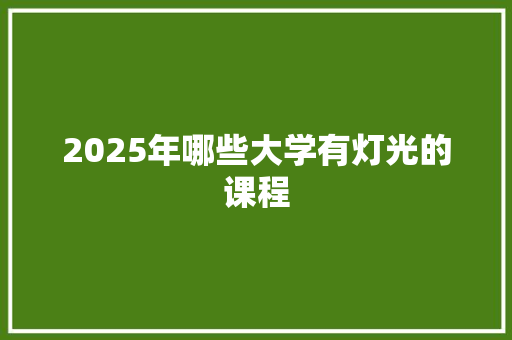 2025年哪些大学有灯光的课程
