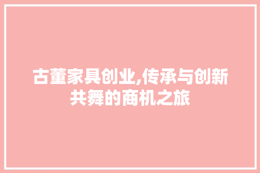 古董家具创业,传承与创新共舞的商机之旅