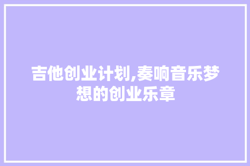 吉他创业计划,奏响音乐梦想的创业乐章