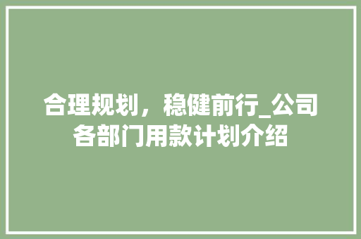 合理规划，稳健前行_公司各部门用款计划介绍