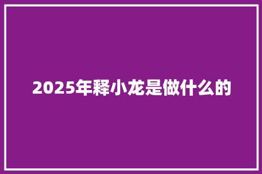 2025年释小龙是做什么的