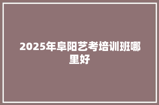 2025年阜阳艺考培训班哪里好