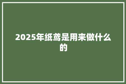 2025年纸鸢是用来做什么的