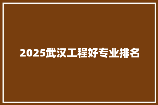 2025武汉工程好专业排名