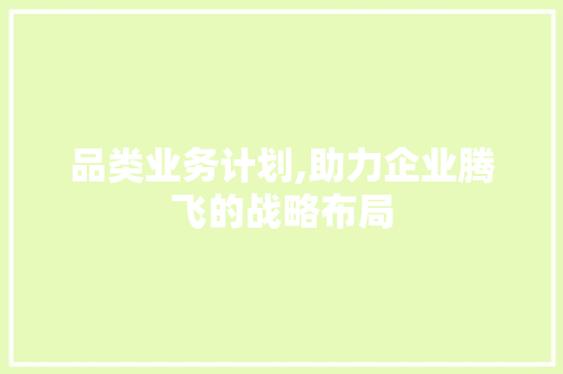 品类业务计划,助力企业腾飞的战略布局