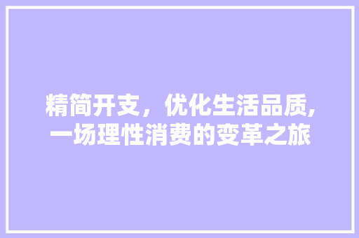 精简开支，优化生活品质,一场理性消费的变革之旅