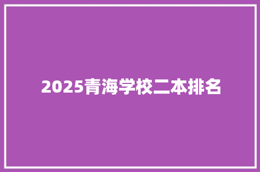 2025青海学校二本排名